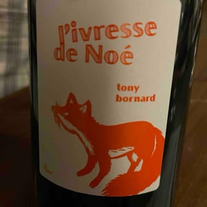 L'Ivresse de Noé (doux) - Domaine Bornard - Tony Bornard