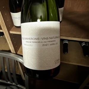Lluerna - Els Vinyerons / Sin Project - amos-baneres-merinero-alex-ruiz-masachs