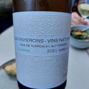 Els Vinyerons / Sin Project - Amós Bañeres Merinero & Alex Ruiz Masachs - Lluerna