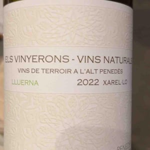 Els Vinyerons / Sin Project - Amós Bañeres Merinero & Alex Ruiz Masachs - Lluerna