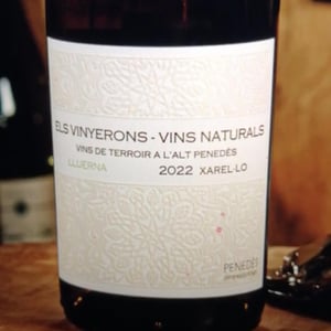 Els Vinyerons / Sin Project - Amós Bañeres Merinero & Alex Ruiz Masachs - Lluerna