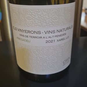Pregadeu Brut - Els Vinyerons / Sin Project - Amós Bañeres Merinero & Alex Ruiz Masachs 