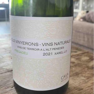 Lluerna - Els Vinyerons / Sin Project - amos-baneres-merinero-alex-ruiz-masachs