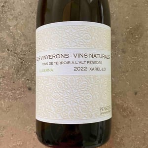 Els Vinyerons / Sin Project - Amós Bañeres Merinero & Alex Ruiz Masachs - Lluerna