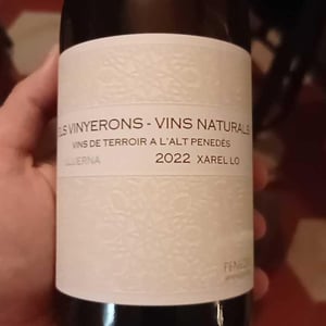 Lluerna - Els Vinyerons / Sin Project - amos-baneres-merinero-alex-ruiz-masachs