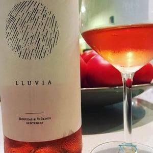 Lluvia - Bodega y Viñedos Sentencia - alberto-pedron