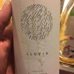 Lluvia - Bodega y Viñedos Sentencia - alberto-pedron