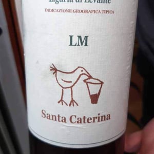 LM - Santa Caterina - andrea-kihlgren