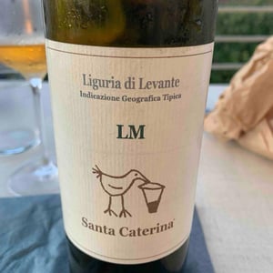 LM - Santa Caterina - Andrea Kihlgren 