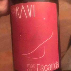 Mas de l’Escarida - Laurent Fell - Lo Ravi