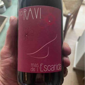 Mas de l’Escarida - Laurent Fell - Lo Ravi