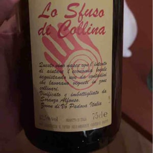 Lo Sfuso Di Collina - Azienda Agricola Monteforche - Alfonso Soranzo 