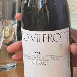 Sistema Vinari - Eloi Cedó Perelló - Lo Vilero