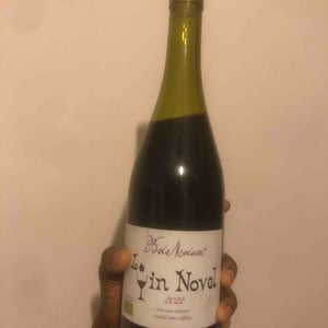 Lo vin Novel - Domaine Ferme Bois Moisset - Sylvie & Philippe Maffre 