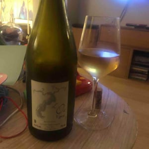L'O2 Vigne - La Coulée d'Ambrosia - Jean-François Chéné 