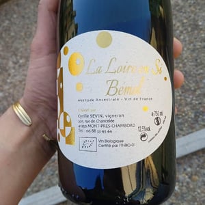 Loire En Si Bemol - Cyrille Sevin - cyrille-sevin