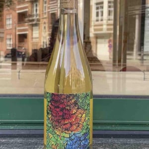 L’oiseau des vignes - Le Fay d'Homme - vincent-caille -2020