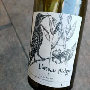 L’oiseau Rôdeur - L'oiseau Rôdeur - Marie Menoux et Thomas Rougier -2021