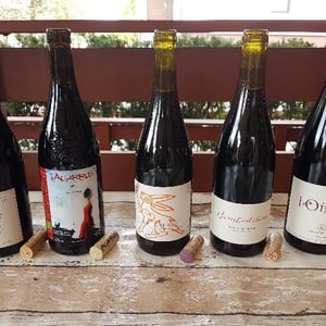Domaine Yannick Pelletier - Yannick Pelletier - L'Oiselet