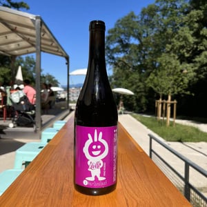 Lollo - Luca Bevilacqua Vini Artigianali - luca-bevilacqua