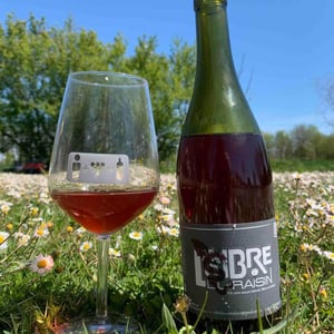Un Brin Libre - Colin ALEX - L'ombre du raisin
