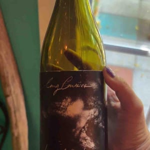 Long Courrier - Domaine Laura Aillaud - laura-aillaud