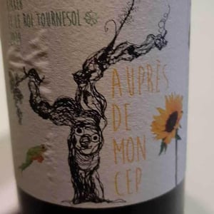 Kikker et le Roi Tournesol - Auprès De Mon Cep - ian-lu