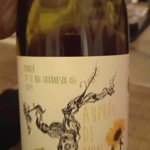 Kikker et le Roi Tournesol - Auprès De Mon Cep - Ian Lu 
