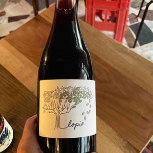 Lopi Rosso - La Via del Colle - Francesco Bandi 