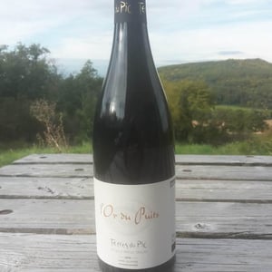 L'Or du Puits - Terres Du Pic - patrick-alexis-maurel -2020