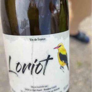Loriot - Le Chat Huant - Blandine Floch 