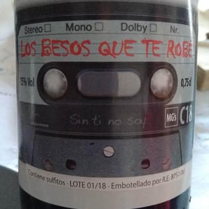 Los Besos Que Te Robé - Orly Lumbreras Viñador - Orly Lumbreras -2018