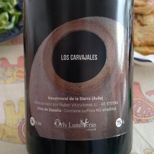 Los Carvajales - Orly Lumbreras Viñador - Orly Lumbreras 