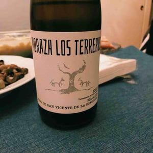 Los Terreros - Bodegas Moraza - Janire Moraza and Patricio Brongo 