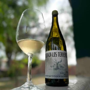 Los Terreros - Bodegas Moraza - Janire Moraza and Patricio Brongo 