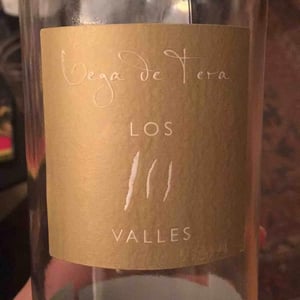 Los Valles - Bodegas Vega de Tera - miguel-regil