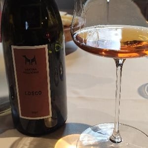 Losco - Cantina Mezzacane - Eugenio Barbieri, Caterina e Andrea Vistarini -2020