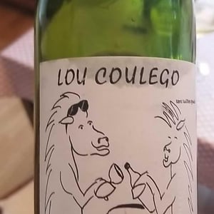 Lou Coulego - Grégory Guillaume - Grégory Guillaume 