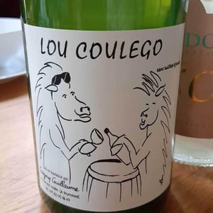 Lou Coulego - Grégory Guillaume - Grégory Guillaume 