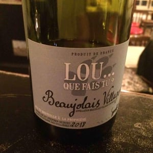 Lou Que Fais Tu - Lou. Y Es-Tu? - Mathilde & Stephen Durieu 