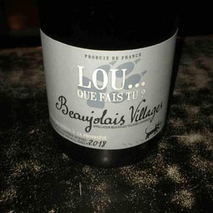 Lou Que Fais Tu - Lou. Y Es-Tu? - Mathilde & Stephen Durieu 