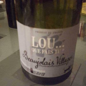 Lou Que Fais Tu - Lou. Y Es-Tu? - mathilde-stephen-durieu