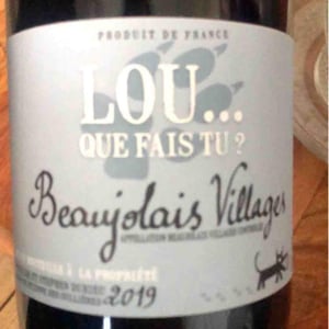 Lou Que Fais Tu - Lou. Y Es-Tu? - Mathilde & Stephen Durieu 