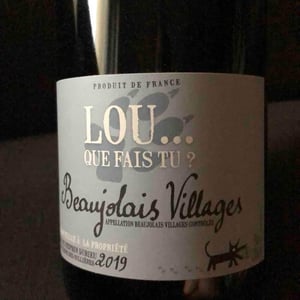 Lou Que Fais Tu - Lou. Y Es-Tu? - Mathilde & Stephen Durieu 