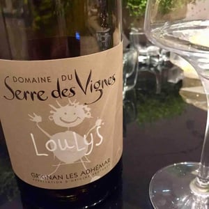 Loulys - Domaine du Serre des Vignes - jerome-et-vincent-roux