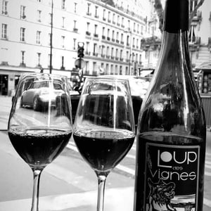 Loup Des Vignes - Loup des Vignes - Benoît Rosenberger 