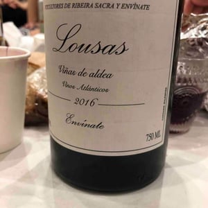 Lousas Viñas de Aldea - Envínate - roberto-santana-alfonso-torrente-laura-ramos-jose-martinez