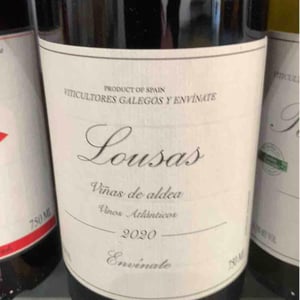 Lousas Viñas de Aldea - Envínate - roberto-santana-alfonso-torrente-laura-ramos-jose-martinez