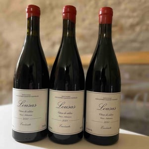 Lousas Viñas de Aldea - Envínate - Roberto Santana, Alfonso Torrente, Laura Ramos & José Martínez