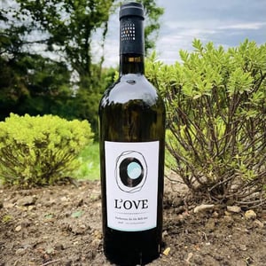 L'Ove - Clos les Mets d'Ames - celine-oulie-et-cedrik-dubois